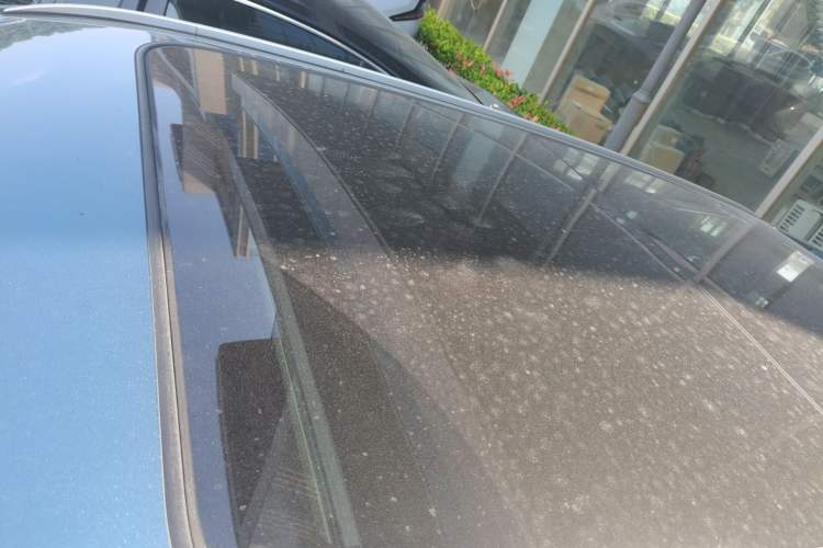 Used Oshan Z6 2022 Blue Whale 1.5T DCT Smart Edition