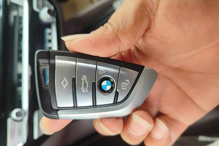 Used BMW 5 Series New Energy 2019 530Le Luxury Package
