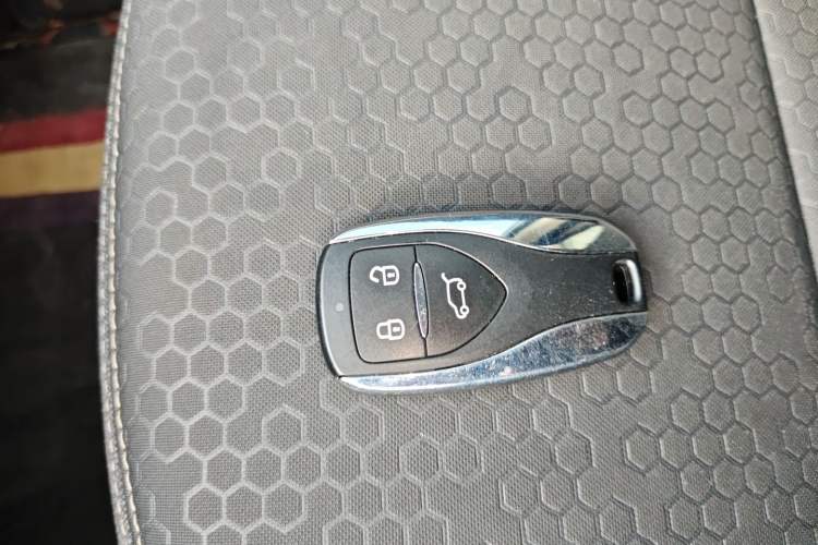 Used Dayun Yuehu 2022 30.66 kWh Two-Wheel Drive Standard Version Vehicle Key