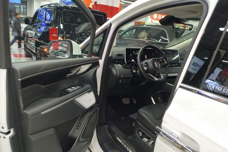 Used Wey Gaoshan 2023 Four-Wheel Drive Flagship Edition