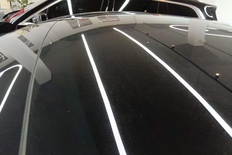 Used Tesla Model Y 2021 Standard Range Rear-Wheel Drive Version Roof