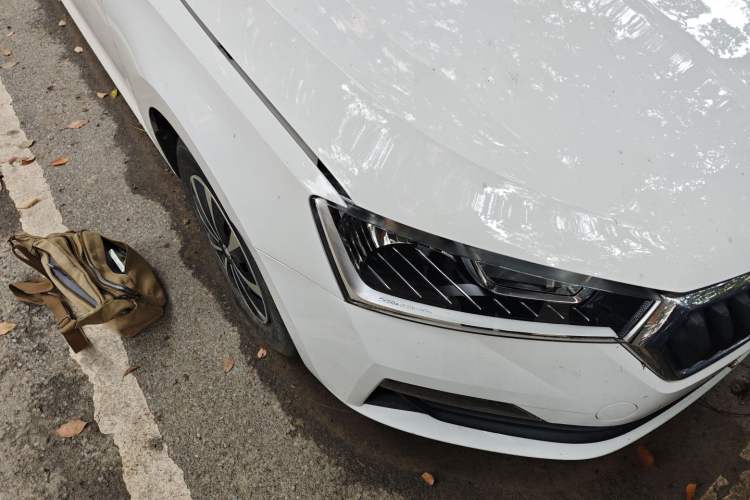 Used Skoda Rapid 2019 1.5L Automatic Standard Edition