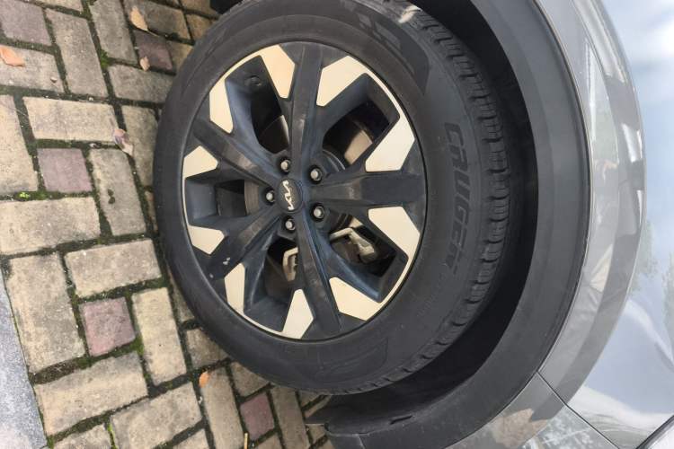 Used Kia Sportage (Chinese Domestic Model) 2023 2.0T Two-Wheel-Drive Prestige Edition
