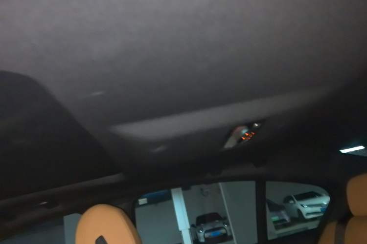 Used BMW 5 Series 2021 530i M Sport Package Headliner