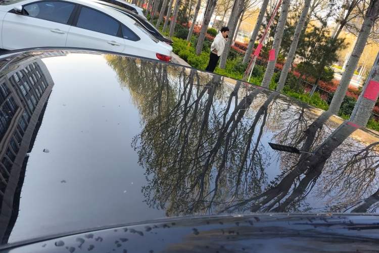 Used Livan 7 2023 450km Chiyue