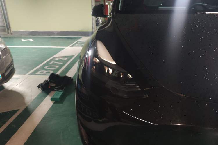 Used Tesla Model Y 2022 Rear-Wheel-Drive Version