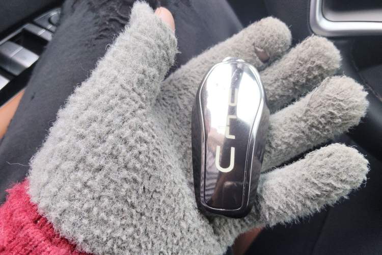 Used BYD Tang New Energy 2023 DM-i Champion Edition 112KM Prestige Model
