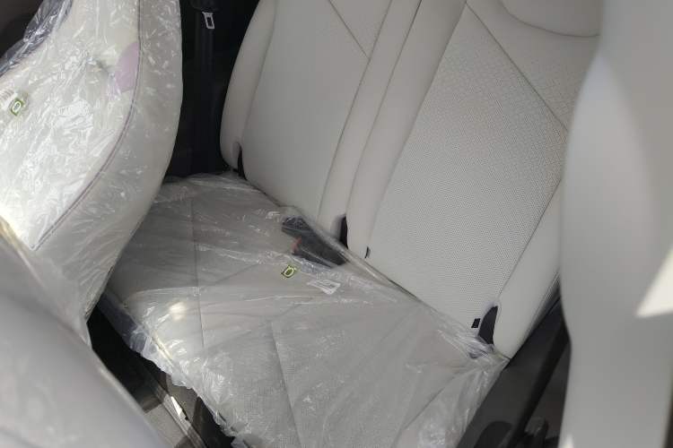 Used Chery Little Ant 2024 Facelifted 321km Beloved Edition Left Rear Seat