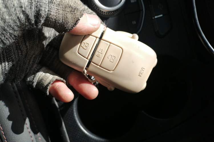 Used Haval H6 Coupe 2018 Red-Label 1.5T Automatic Two-Wheel Drive Luxury Model
