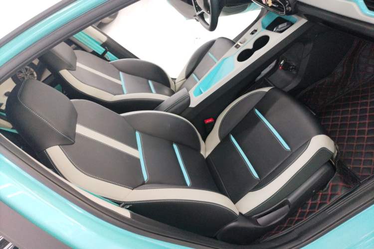 Used SOL E10X 2022 Flower Fairy Style Baby's Breath
