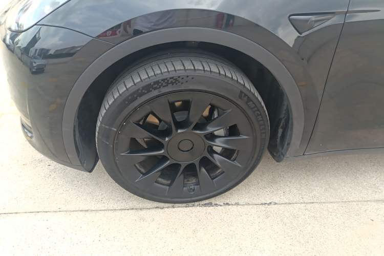 Used Tesla Model Y 2023 Rear-Wheel-Drive Version Exterior 4