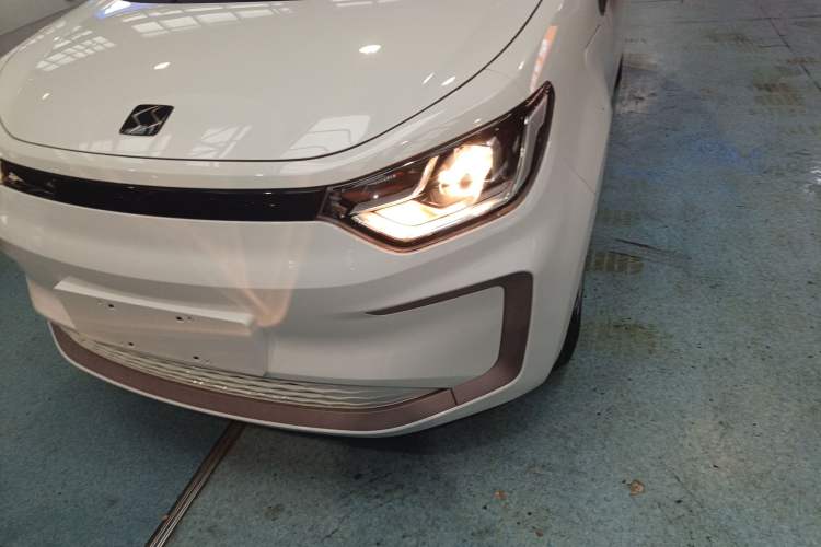 Used SOL E10X 2022 Flower Fairy Style Baby's Breath
