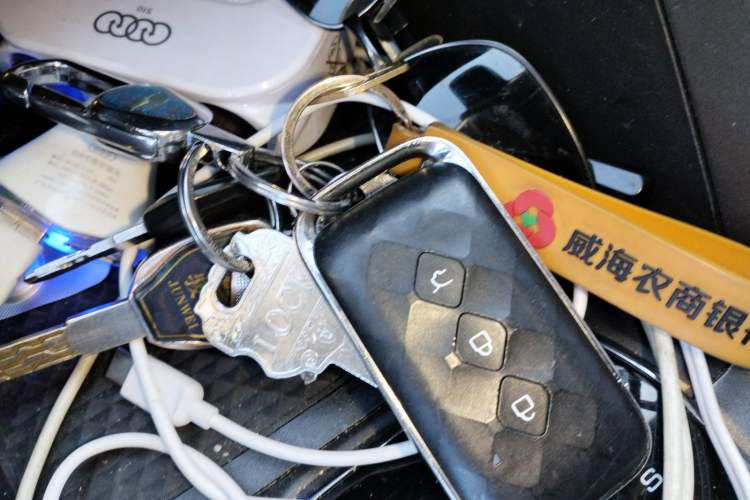 Used Wuling Xingyun 2023 2.0L DHT Standard Edition