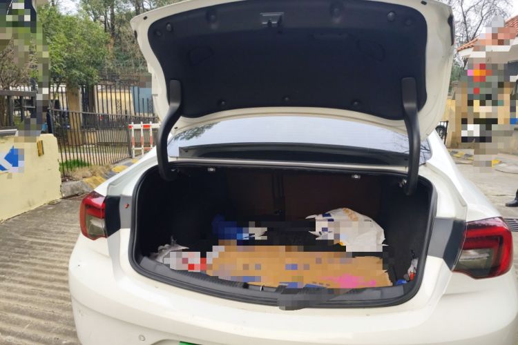 Used Buick Regal 2019 20T Elite Version China VI Standard