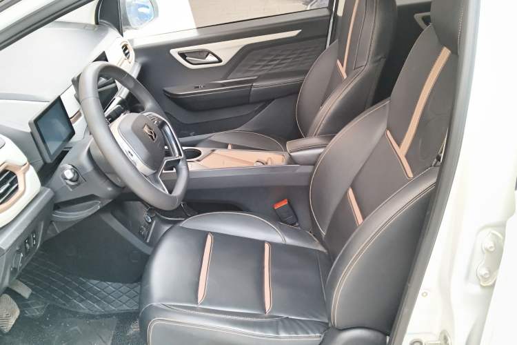 Used SOL E10X 2022 Flower Fairy Design Four-Leaf Clover