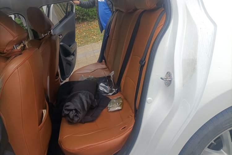 Used Mazda 3 Axela 2019 Cloud-Controlled Version Sedan 1.5L Automatic Comfort Trim China V Standard Left Rear Seat