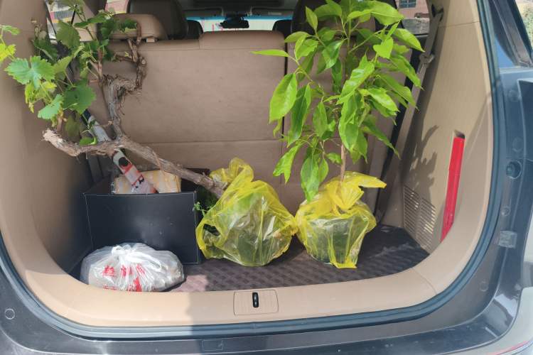 Used Buick GL8 2020 ES Land Cruiser 653T Luxury Model