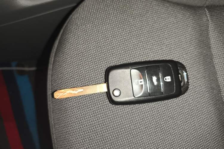 Used Qiyuan Lumin 2023 301km Honey Dew Edition