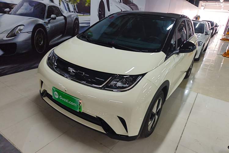 Used BYD Dolphin 2023 420 km Free Version
