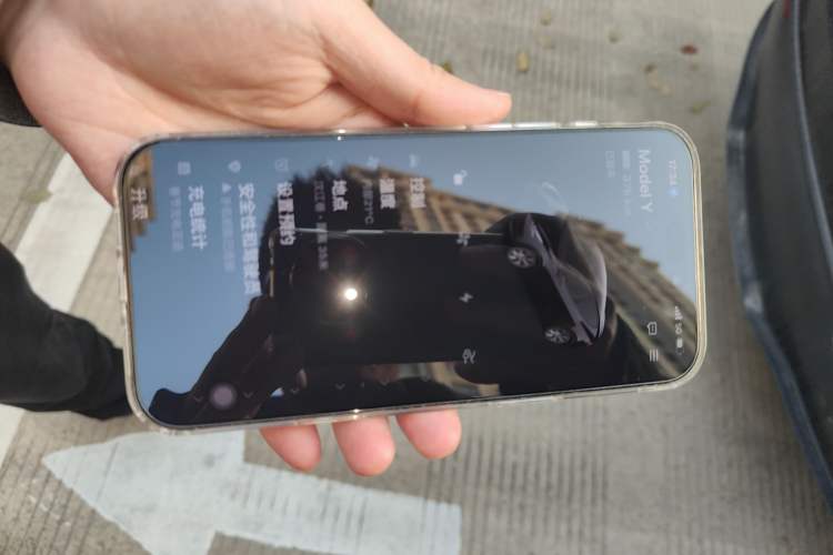 Used Tesla Model Y 2022 Rear-Wheel-Drive Version