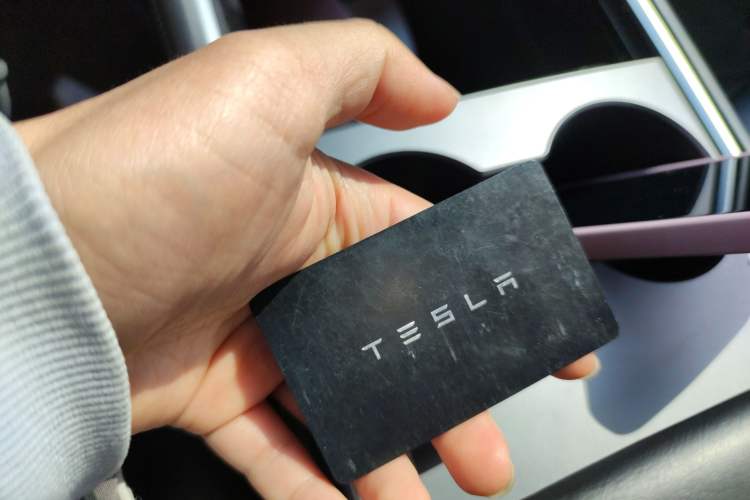 Used Tesla Model 3 2021 Standard Range Rear-Wheel Drive Upgraded Version 3D6