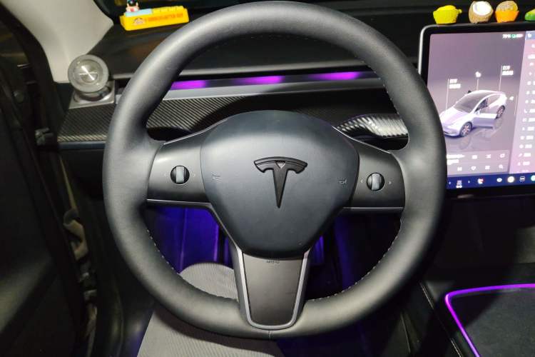 Used Tesla Model Y 2021 Performance High-Performance All-Wheel-Drive Version