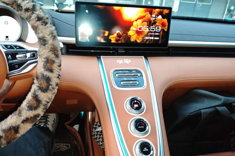 Used ORA Lightning Cat 2022 555 km Luxury Edition
