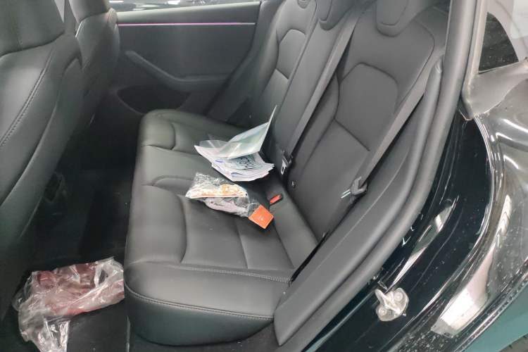 Used Tesla Model 3 2023 Long-Range All-Wheel-Drive Version Left Rear Seat