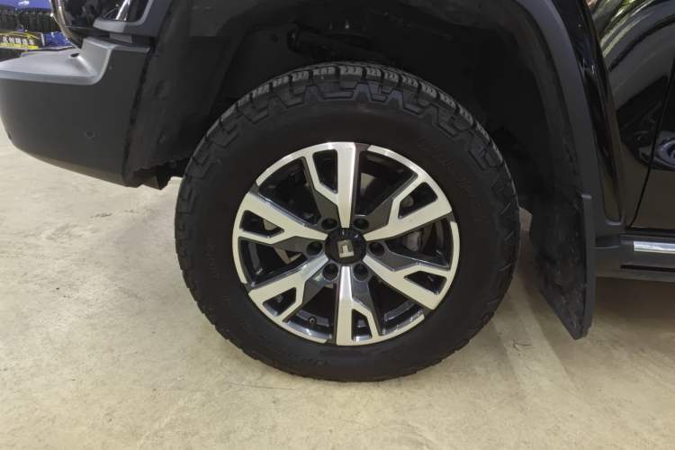 Used Tank 300 2024 2.0T Crosser