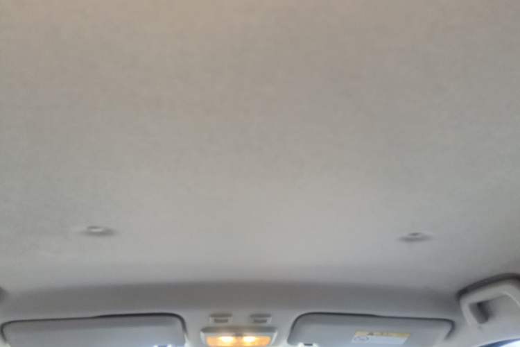 Used ORA Black Cat 2021 301 km Basic Version