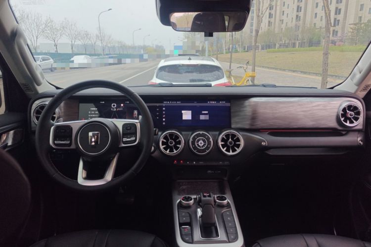 Used Tank 300 2024 2.0T Conqueror Center Console