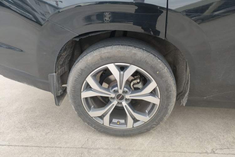 Used EXEED Lanyue 2021 400T Two-Wheel Drive Starlight Pro Edition 7-Seater
