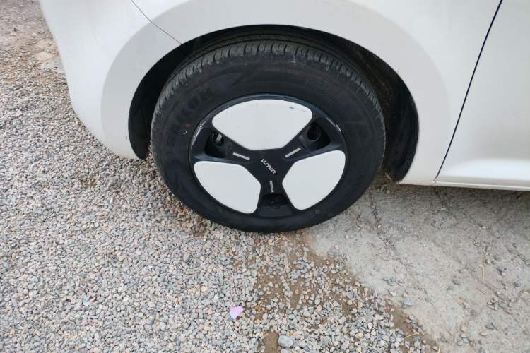 Used Qiyuan Lumin 2023 205km Xiangqin Version
