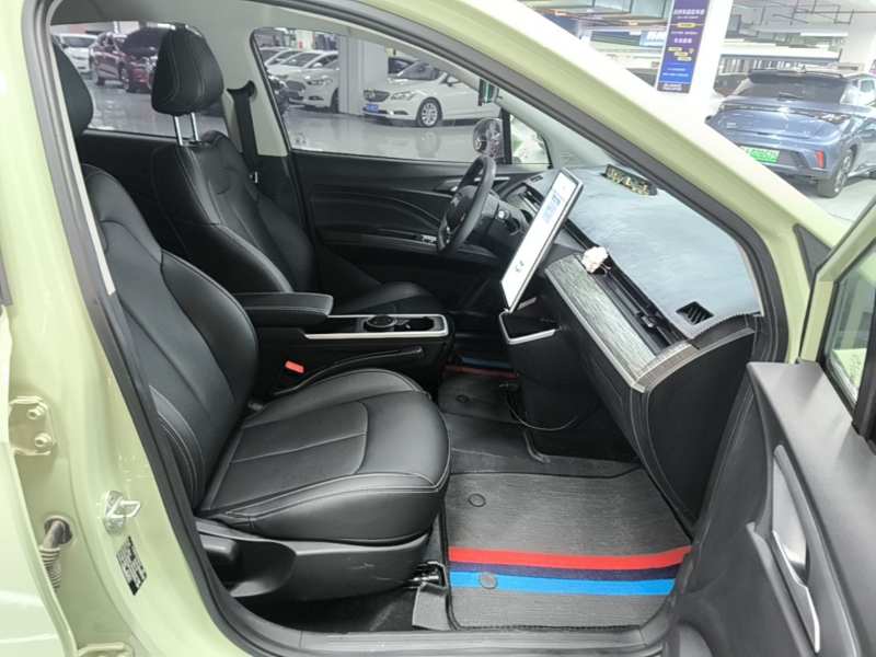 Used NETA AYA 2023 401 Lite — 24