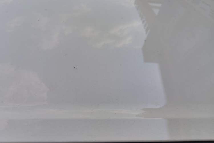 Used Wuling Bingo 2025 333 km Lingxi Connected Version
