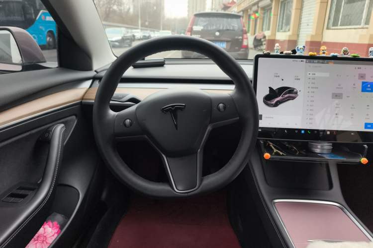 Used Tesla Model 3 2021 Standard Range Rear-Wheel Drive Upgraded Version 3D6