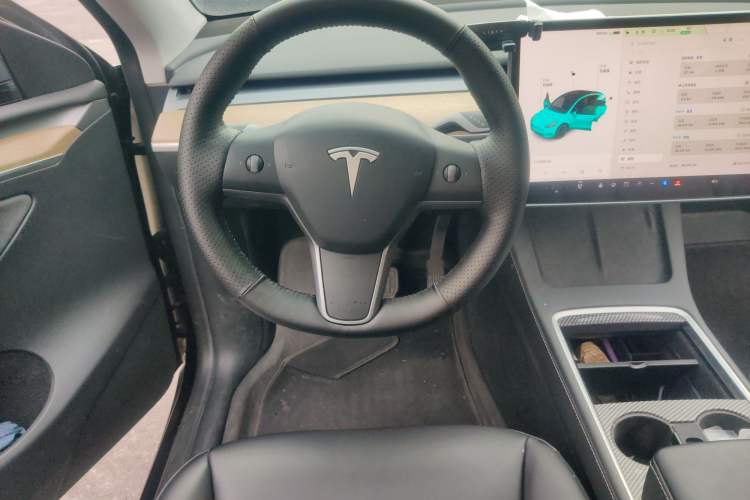 Used Tesla Model Y 2021 Standard Range Rear-Wheel Drive Version
