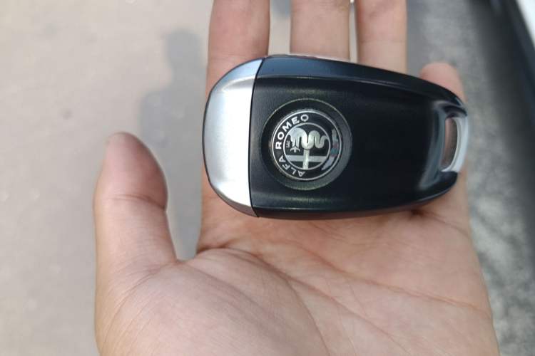 Used Alfa Romeo Stelvio 2017 2.0T 200HP Elite Edition