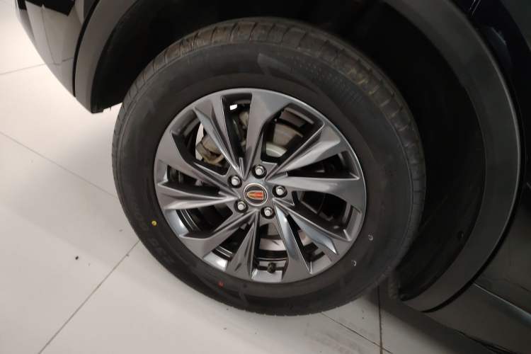 Used Hongqi HS5 2025 2.0T Two-Wheel Drive 600 000-Vehicle Commemorative Edition