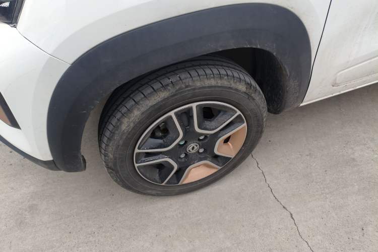 Used Dongfeng NAMMI EX1 2023 PRO Light Wind Edition Lightning Model