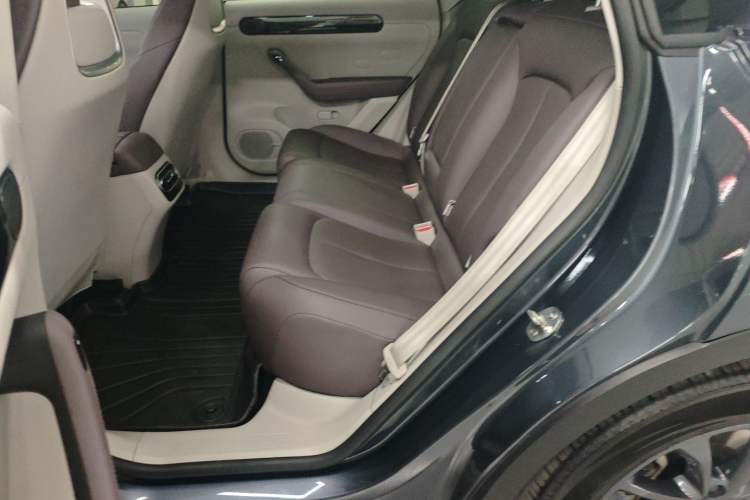 Used Leapmotor C11 2023 Pure Electric 500 Comfort Edition Left Rear Seat