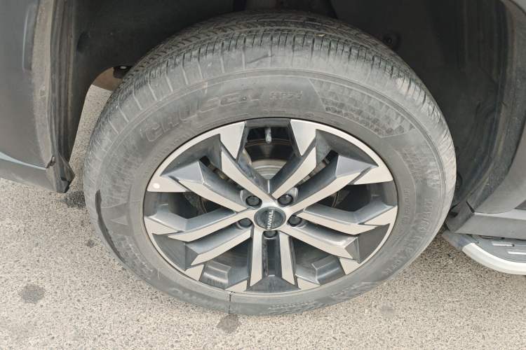 Used Haval H Dog 2023 2.0T All-Wheel-Drive Chaoye Plus Exterior 5