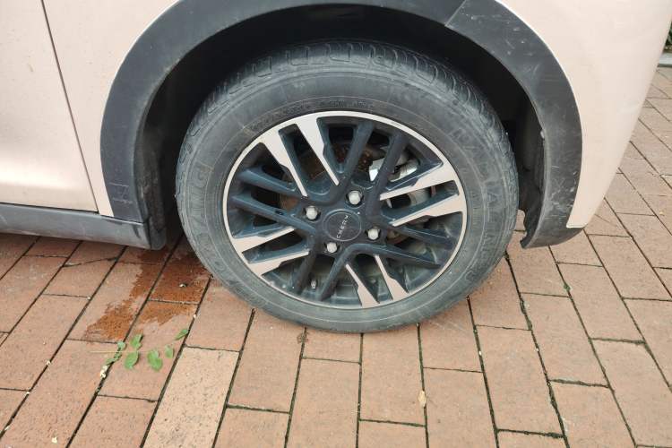 Used Chery New Energy Little Ant 2022 Sweet Pink Edition Half-Sugar Version 3-Cell Lithium 30kW 301km