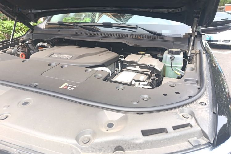 Used Tank 500 New Energy 2026 Model—Hi4-T Smart Enjoyment Version
