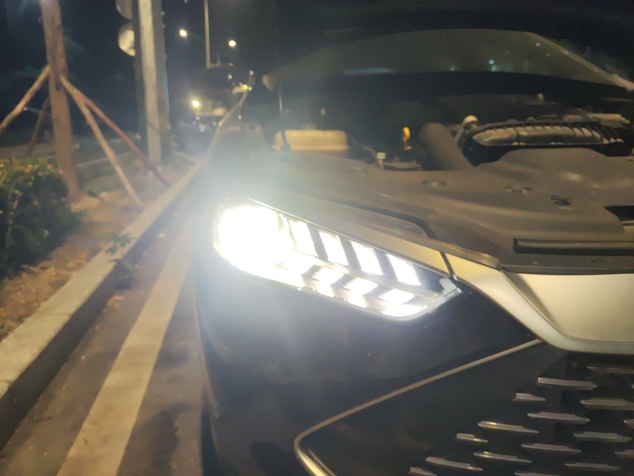 BYD Qin PLUS 2023 Champion Edition DM-i 55KM Leading Model — снимка 7