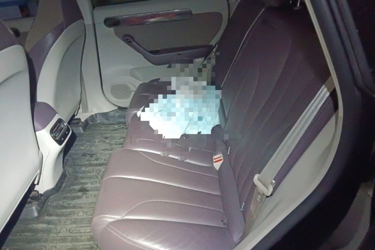 Used Leapmotor C11 2021 Performance Edition Left Rear Seat