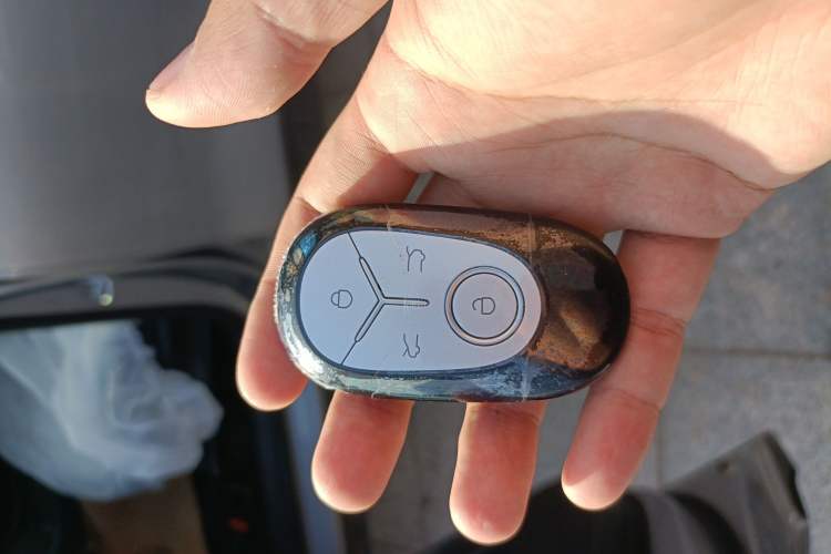 Used Geely Galaxy Geome 2025 310km Youth Edition