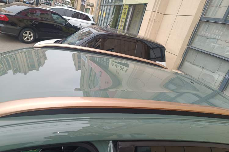 Used Dongfeng NAMMI EX1 2023 PRO Light Wind Edition Lightning Model