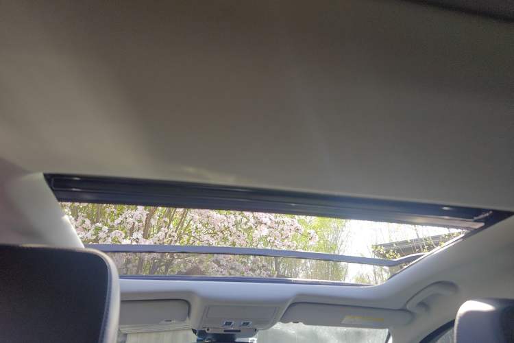 Used Jaguar XFL 2021 XFL 2.0T P200 Two-Wheel-Drive Elite Luxury Edition Headliner