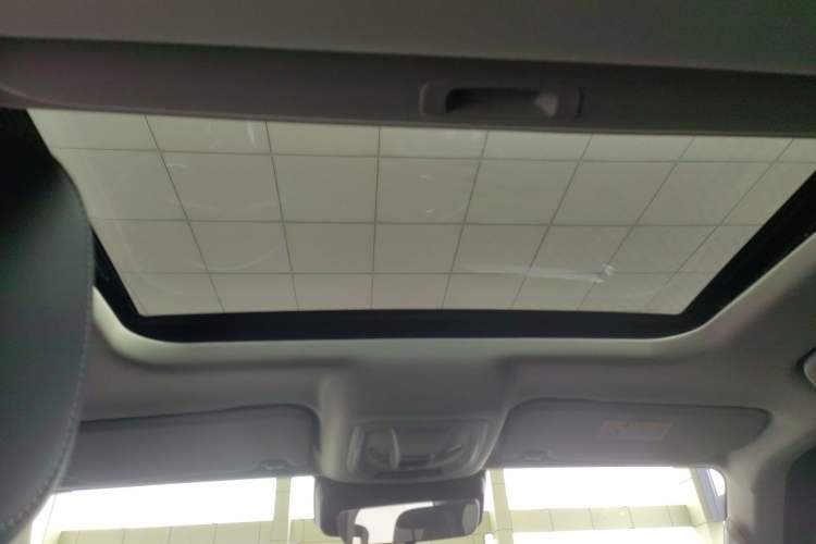 Used Tank 300 2024 2.0T Conqueror